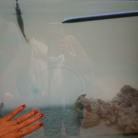 アクアパーク品川 ～print 3～の画像