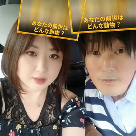 *あなたを動物に例えると何？*の画像