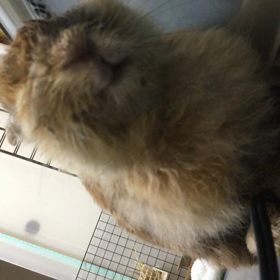 先週のまとめの画像