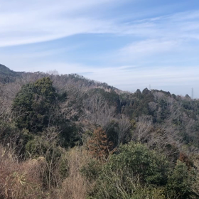 京都一望の画像