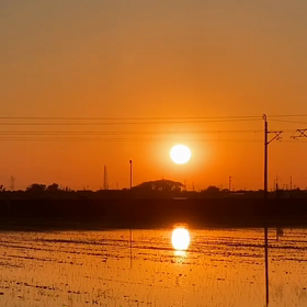 撮り鉄おまけの画像