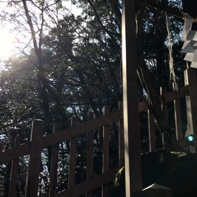 玉置神社 玉石社の画像