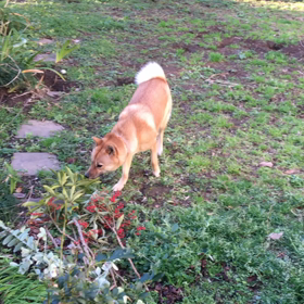 モーニングチェックの画像