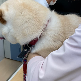 ワクチンにの画像