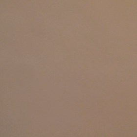 とらぢ@35の画像