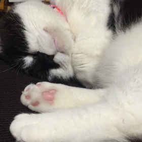 きっと、あれだ？の画像