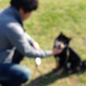 動画初投稿  笑の画像