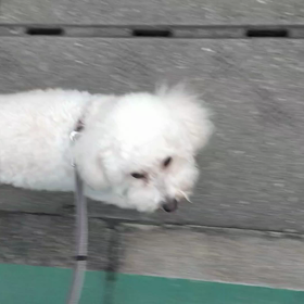 9/14の画像