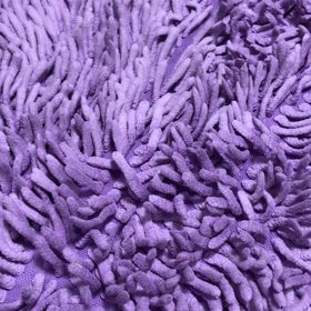 私を見て見てぇ〜の画像