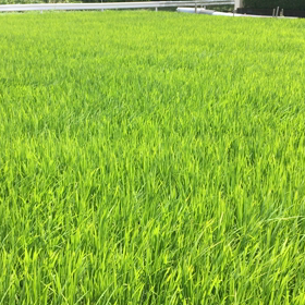 明日福岡に帰るよ〜の画像