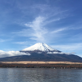 1/3の気になるMovieの画像