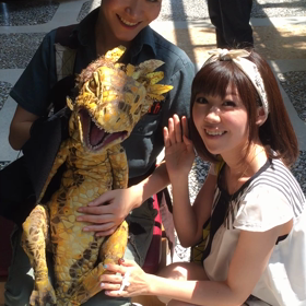 恐竜動物園の画像