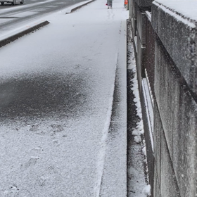 昨日の朝の画像