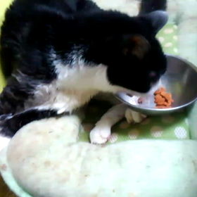 生きたい！の画像