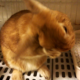 右耳が…(笑)の画像