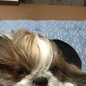 眠い(o^^o)の画像