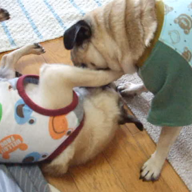 今だから書けるイロイロ　その２　楽しい？病院～次女ぼたんのこと～の画像