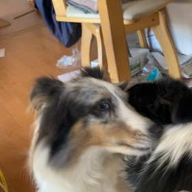 追い払うの画像