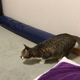 5年後の自分にポジティブな考えができない…の画像