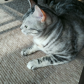 ドッペルゲンガーっぽいことが..の画像