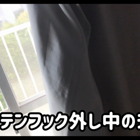 今日のテンの画像