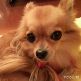 イマドキのアプリの画像