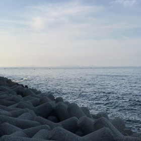 豊浜朝市の様子！車海老や鱧が出てきた！の画像