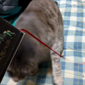 本の栞の紐の画像