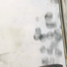 うんちポロポロの画像