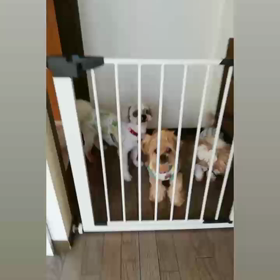 おいしかった顔の画像