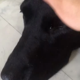 Dear friendの画像