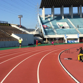 琴絵 練習の画像