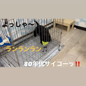 80年代ディスコサウンドにノリノリの出戻り君の画像