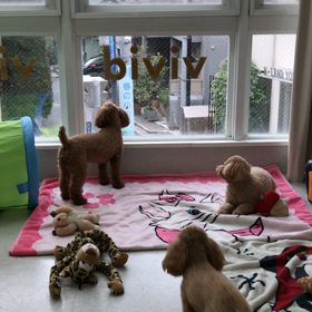 ♪プレイルーム動画♪②の画像