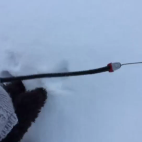 朝んぽ♪の画像