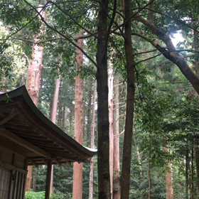 静かですの画像