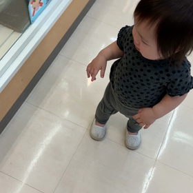 動物に興味津々♡の画像