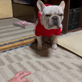 読めない男の画像