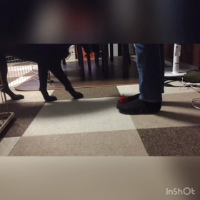 は〜ちゃんの、ベルチャレンジ《2日目》の画像