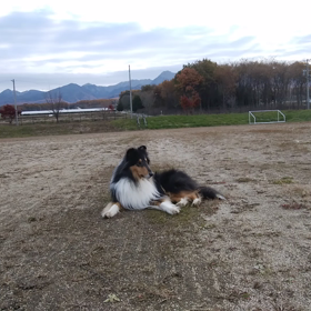 モデルさんの画像