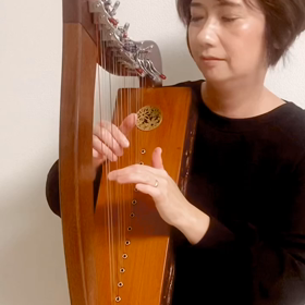 ラップハープ 【音出し確認済み】 本体 お子様や初心者から幅広く楽しめます ラップハープ 【音出し確認済み】 本体 お子様や初心者から