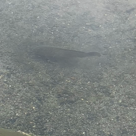 おすすめ画像　鴨川の画像