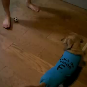 お歳なんだから・・・の画像