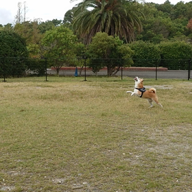 楽しかったねの画像