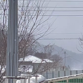 2024/01/16(火)      ホワイトアウトの画像