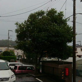 台風一過の画像