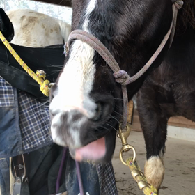 何の音⁇の画像