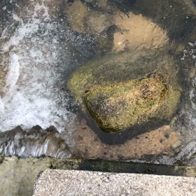 『行動,言動に責任は伴うのか⁉︎』の画像