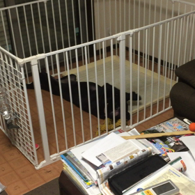 は〜ちゃんのマイブームの画像