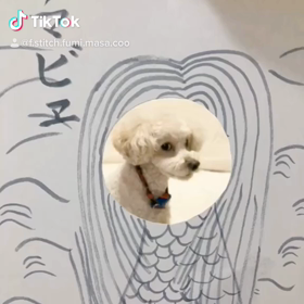 みんなのアマビエに戻ったようですね♪の画像